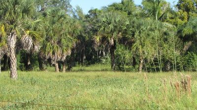 14 14th St, Haines City, FL 33844